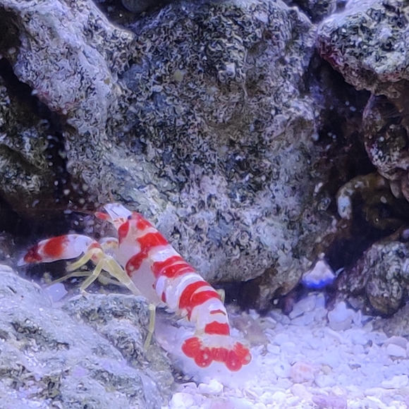 Bundle 3 to save 30%, Welcome to my closet! - Picture 2 of 5